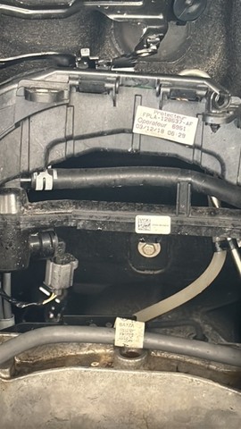 Picture5